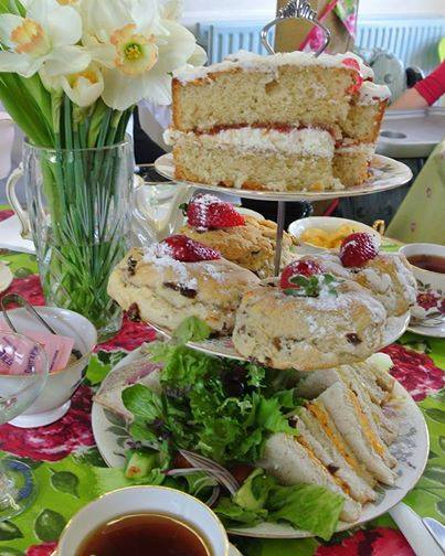 afternoon tea stratford upon avon - shakespaw cat cafe